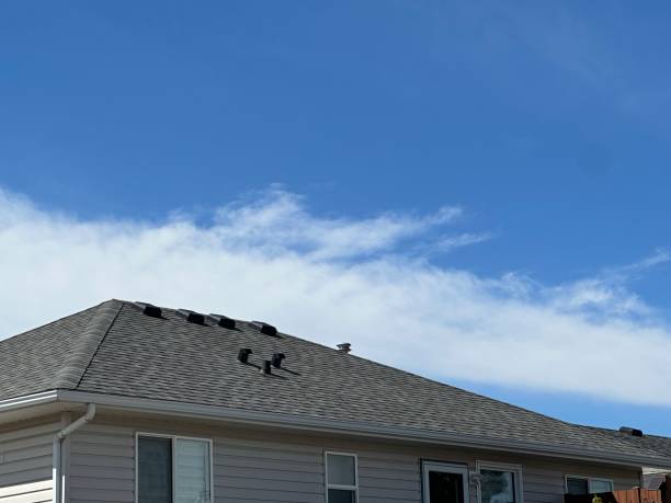 Trusted Vernon, WI Roofing Service Experts